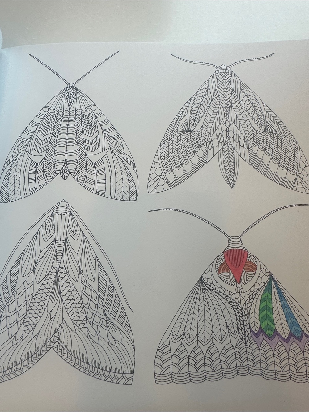 Coloring Book - Picture 3 of 4